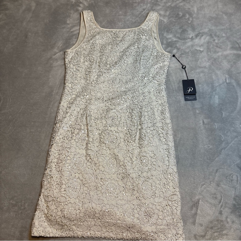 NWT Adrianna Papell silver Cream Lace Dress petite 10